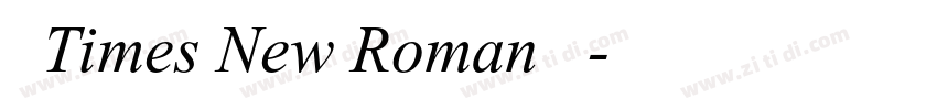 合并Times New Roman与宋体字体转换